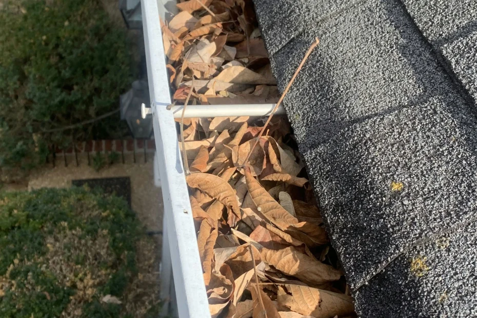 Gutter Cleaning Moycock, NC